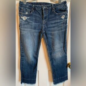 2/$10 Vintage Vigoss Jagger cropped mid-rise jeans. Size 31. GUC